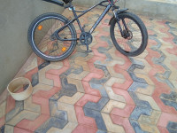 Avon  Dakota 2021 Model