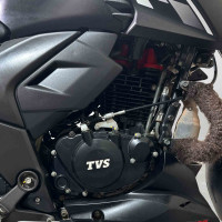 TVS Apache RTR 160 4V