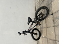 Bicycle Kross 2021 Model