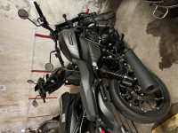 Harley Davidson X 440