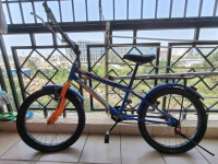 Bicycle BSA 2018 Model