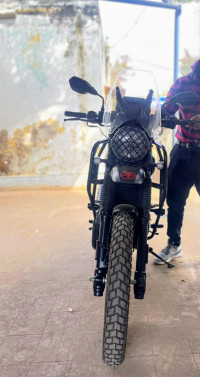 Mambo Black Yezdi Adventure Mambo Black