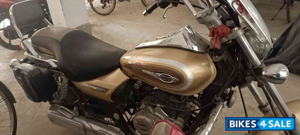 Golden Bajaj Avenger Cruise 220