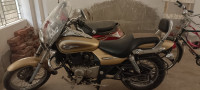 Golden Bajaj Avenger Cruise 220
