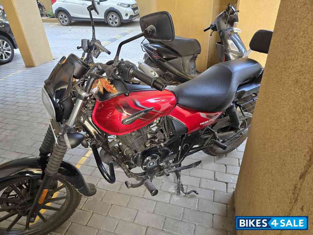 Cherry Red Bajaj Avenger Street 160 BS6