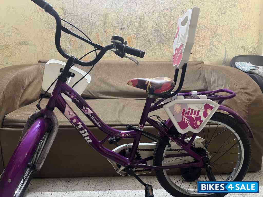 Bicycle  AMR AIR marshal Lilly