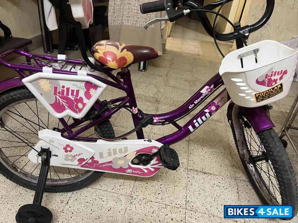 Bicycle AMR AIR marshal Lilly Bicycle AMR AIR marshal Lilly