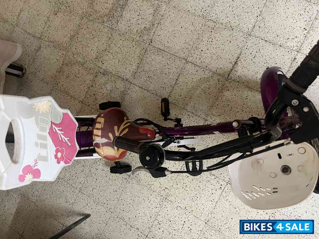 Bicycle AMR AIR marshal Lilly Bicycle AMR AIR marshal Lilly