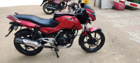 C Wine Red Bajaj Pulsar 150