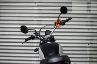 Ducati Scrambler Icon 2021