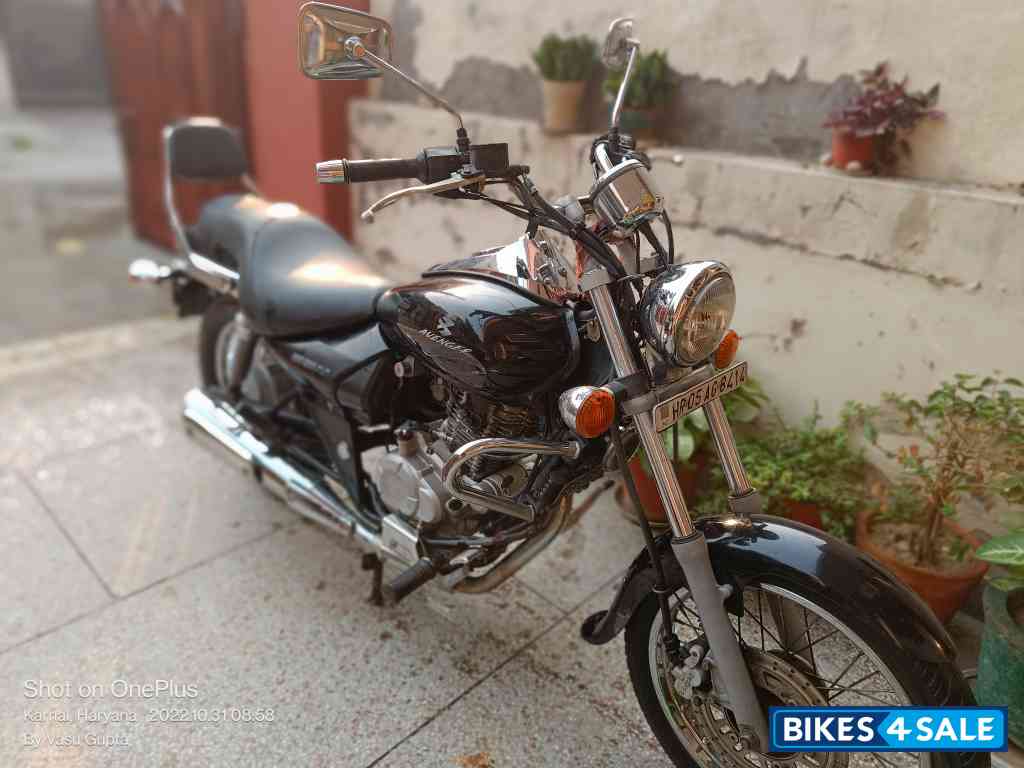 Bajaj Avenger 220 DTS-i
