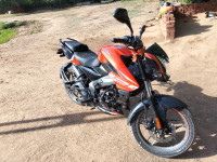 Bajaj Pulsar NS125 BS6 2023 Model