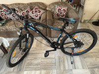 Ninety One  Snow Leopard 2022 Model