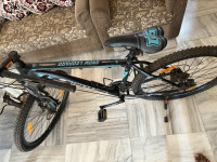 Ninety One  Snow Leopard