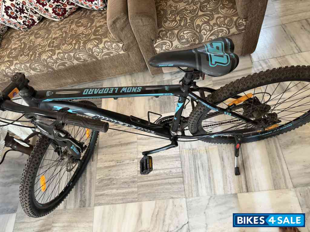 Ninety One  Snow Leopard