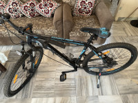 Ninety One  Snow Leopard