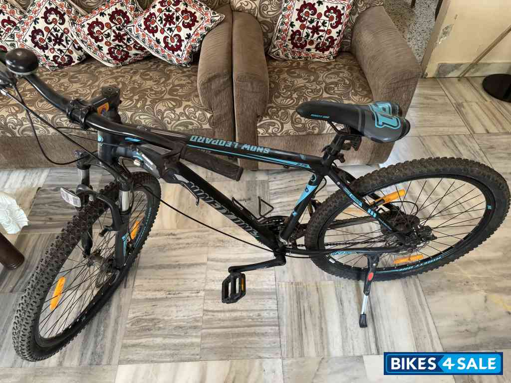 Ninety One  Snow Leopard