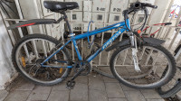 Bicycle Firefox 2019 Model