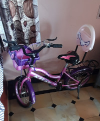 Bicycle Atlas 2020 Model