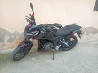 Bajaj Pulsar P150 Twin Disc Split Seat 2023 Model
