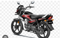 Honda Shine 100 2024 Model