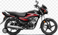 Honda Shine 100
