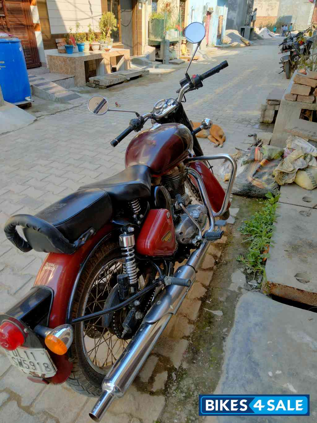 Chestnut Royal Enfield Classic 350