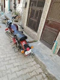 Chestnut Royal Enfield Classic 350