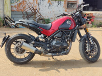 Benelli Leoncino 500 BS6