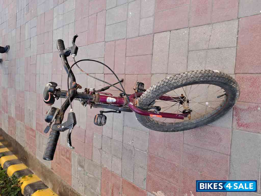 Bicycle  Tata Stryder