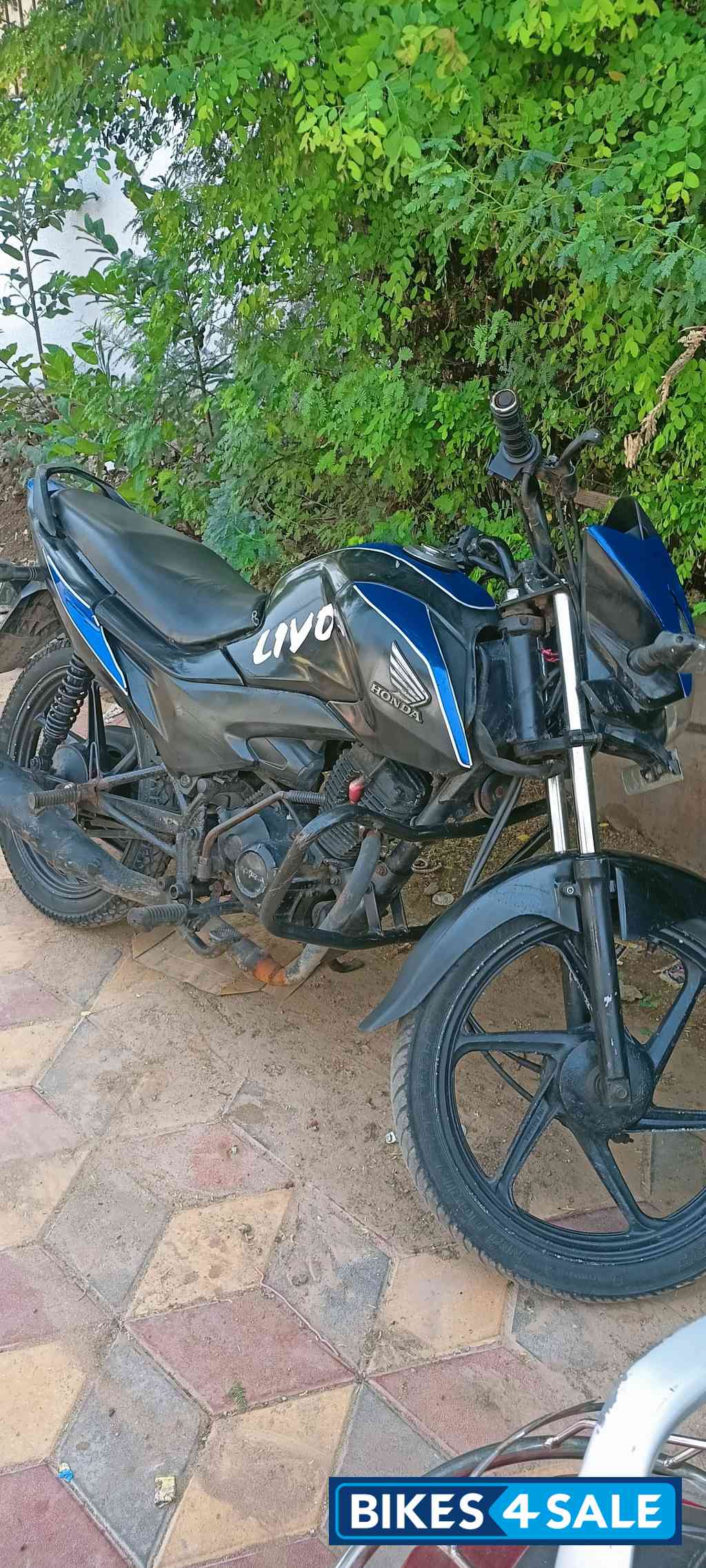 Black Honda Livo 110