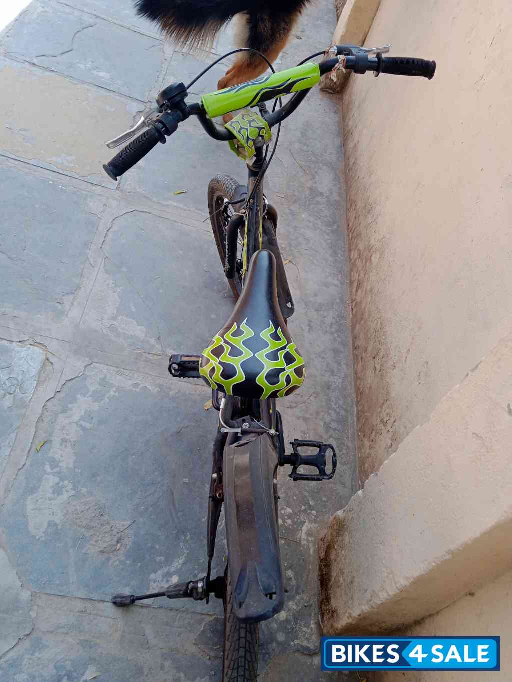 Bicycle Firefox Bicycle Firefox