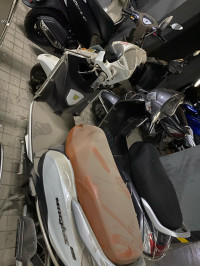 Ampere Magnus Pro 2021 Model