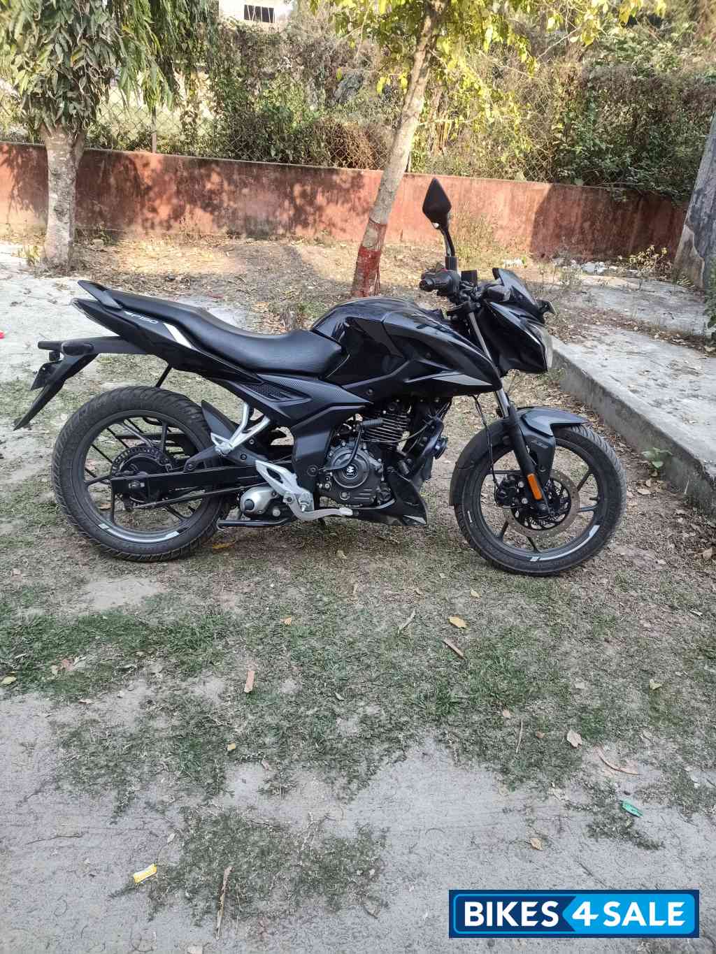 Bajaj Pulsar P150 Single Disc Single Seat