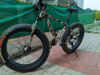 Bicycle FitTrip  Model