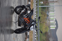 Silver Matt KTM Duke 250 2022