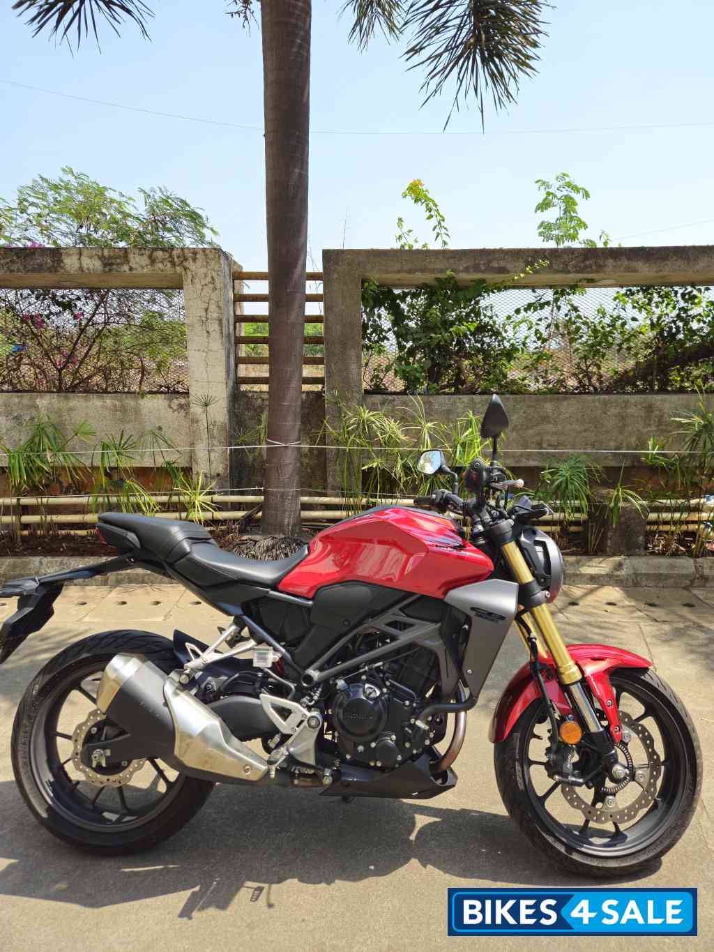 Spartan Red Honda CB300R