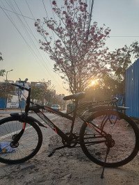 Bicycle  Arrow 26T BIKE 2023 Model