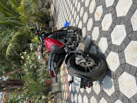 Benelli Leoncino 500 BS6