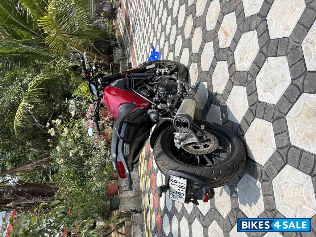 Benelli Leoncino 500 BS6