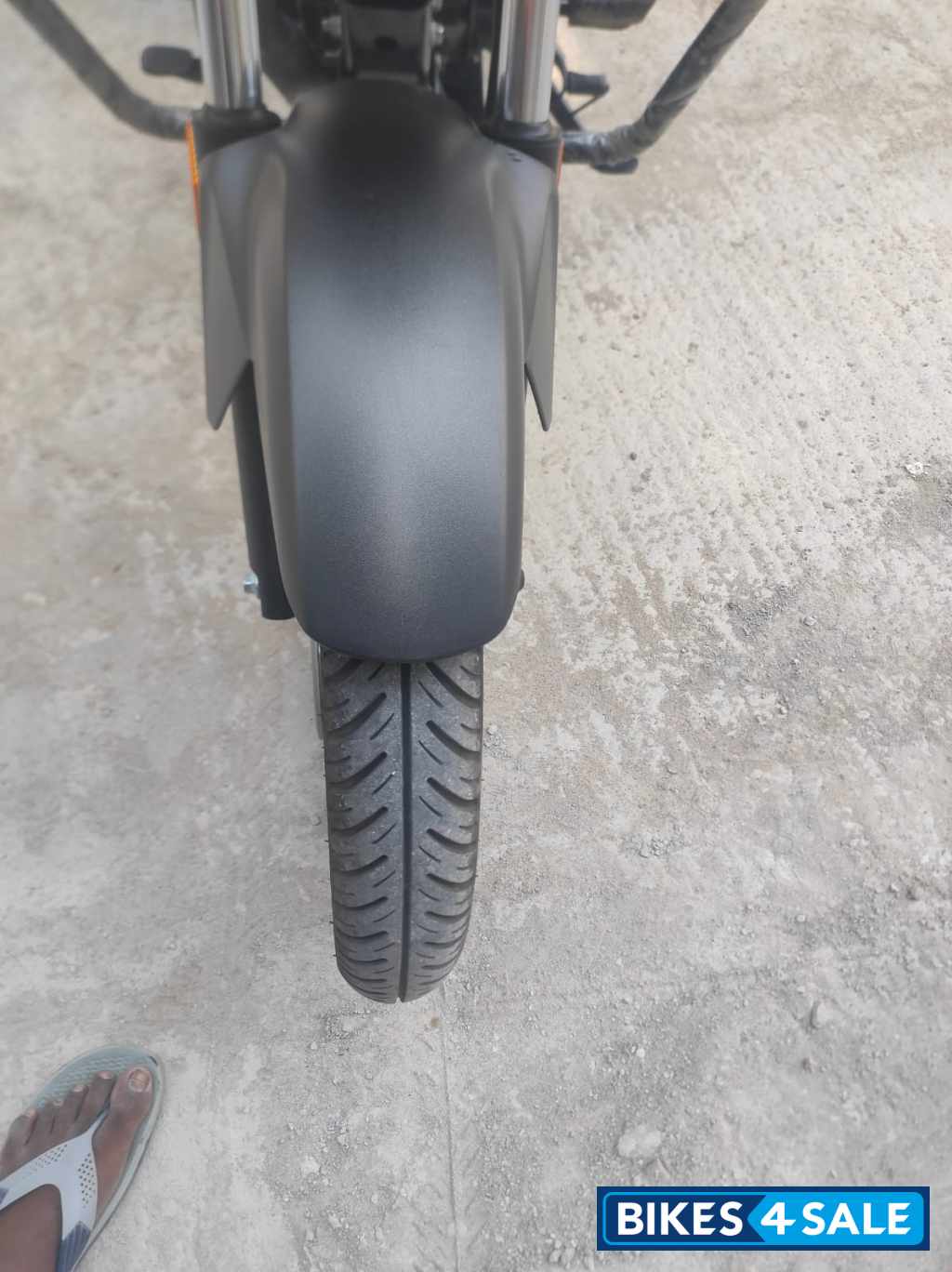 Mat Axis Gray Metalic Honda Shine 125 Disc