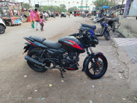 Bajaj Pulsar 150 Twin Disc BS6 2021 Model