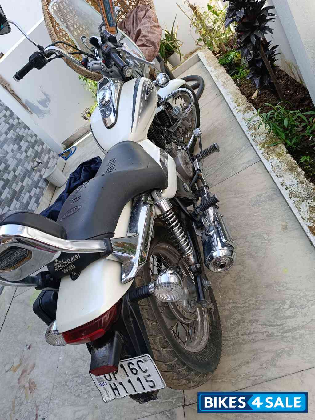 Wight Bajaj Avenger Cruise 220 BS6
