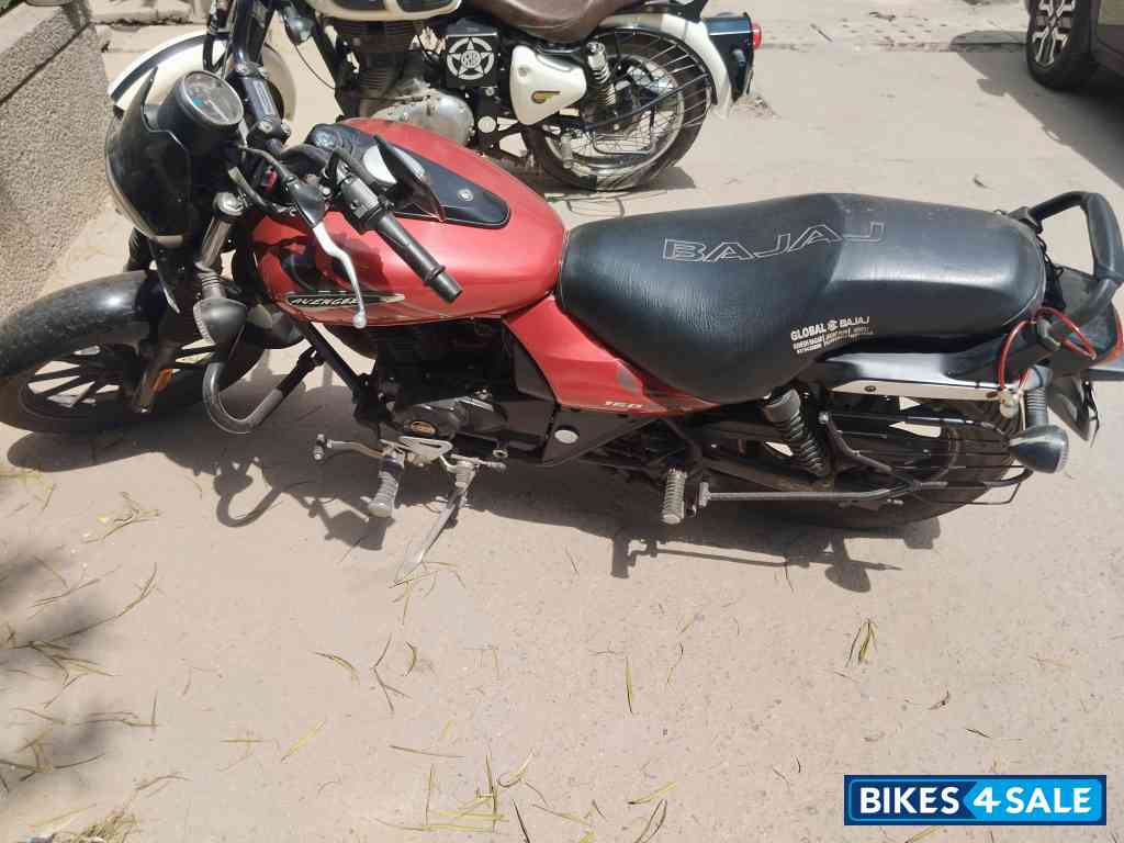 Red Bajaj Avenger Street 160 BS6
