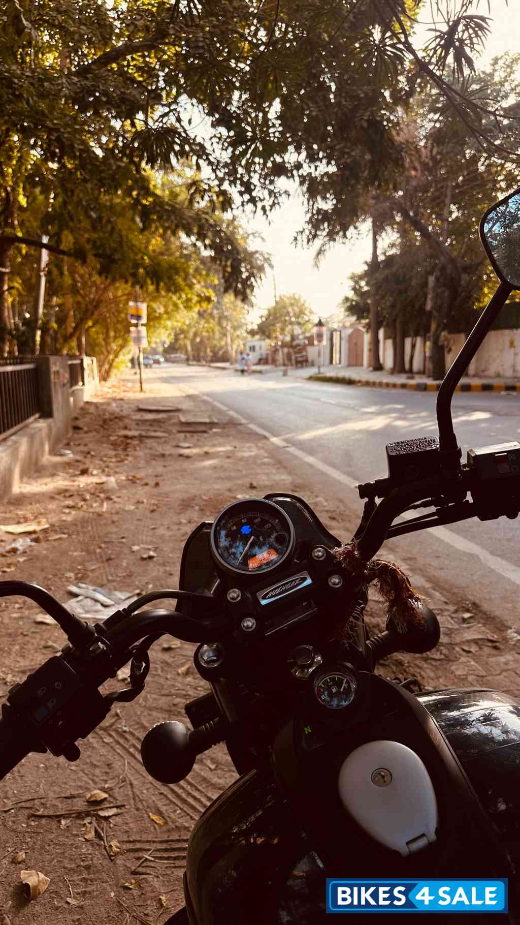 Black Bajaj Avenger Street 160 BS6