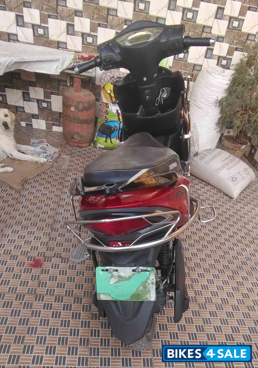 Read And Black Okinawa Praise Pro Read And Black Okinawa Praise Pro