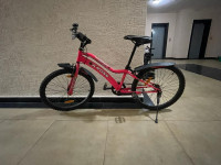 Bicycle Kross  Model