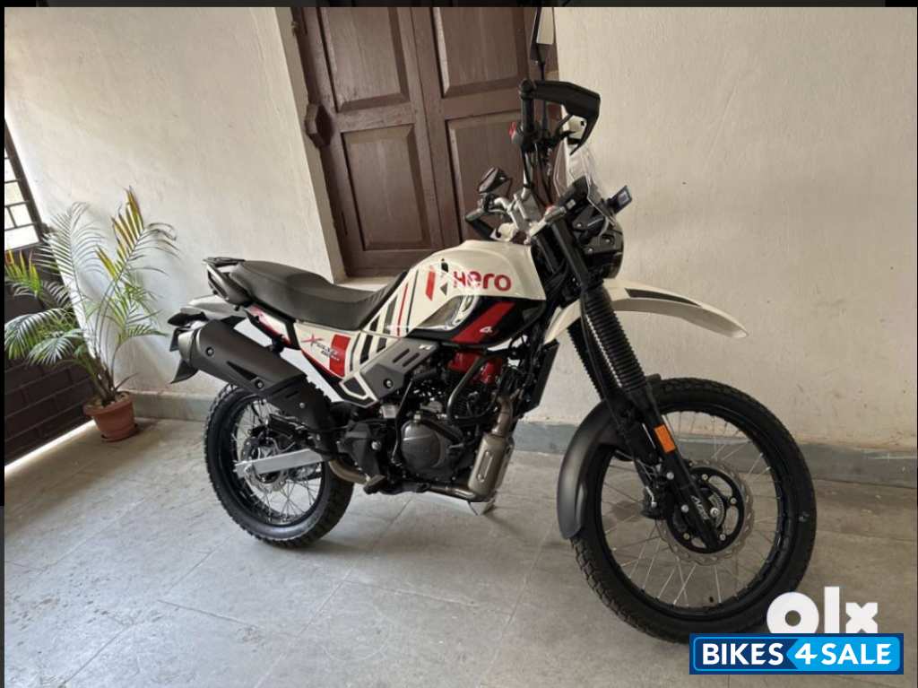 Hero Xpulse 200 4V Pro