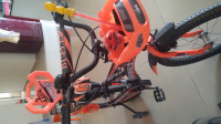 Orange Bicycle Sonet