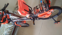 Orange Bicycle Sonet